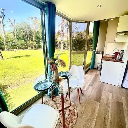 Studio Palm Beach *