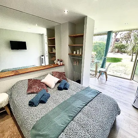 Studio Palm Beach Apartment Cannes